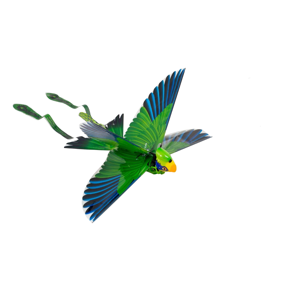 Green sales bird toy